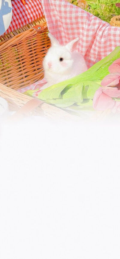 月遇从云，花遇和风。