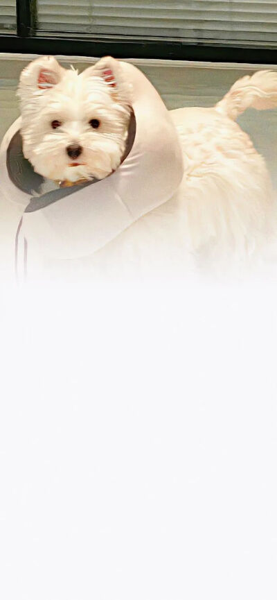 月遇从云，花遇和风。