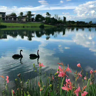 微信背景