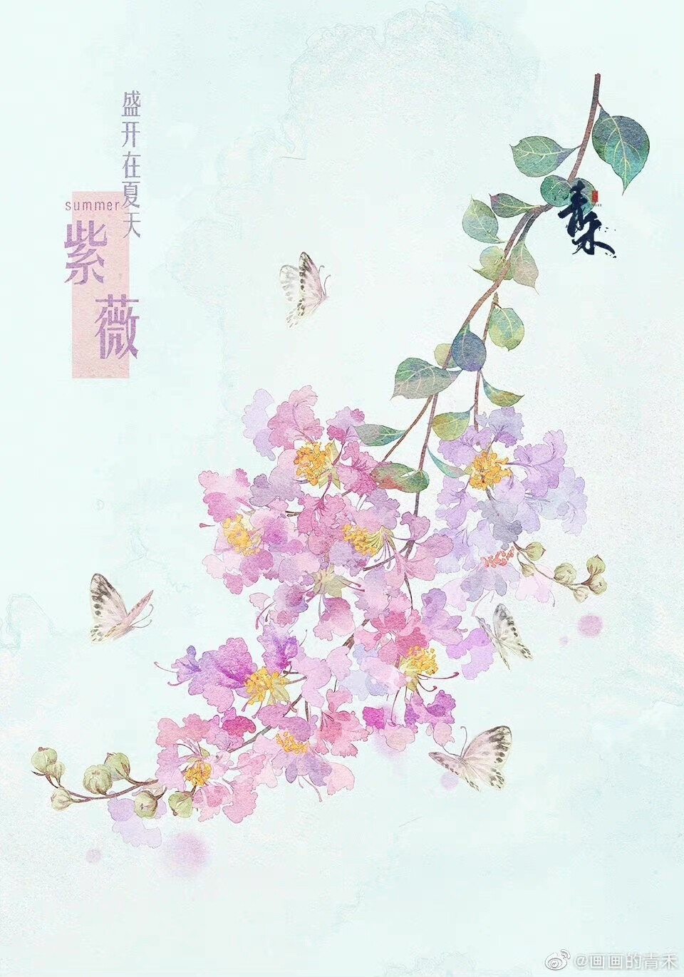 花卉插画