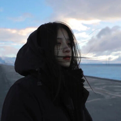 南风知我意，吹梦到西洲