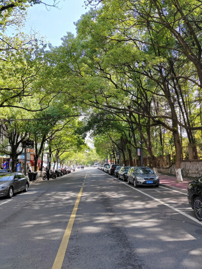 随着心意做自己能做的吧，但不必强求事事有回应了。
发完这条堆糖，别让我做大冤种了啊啊啊