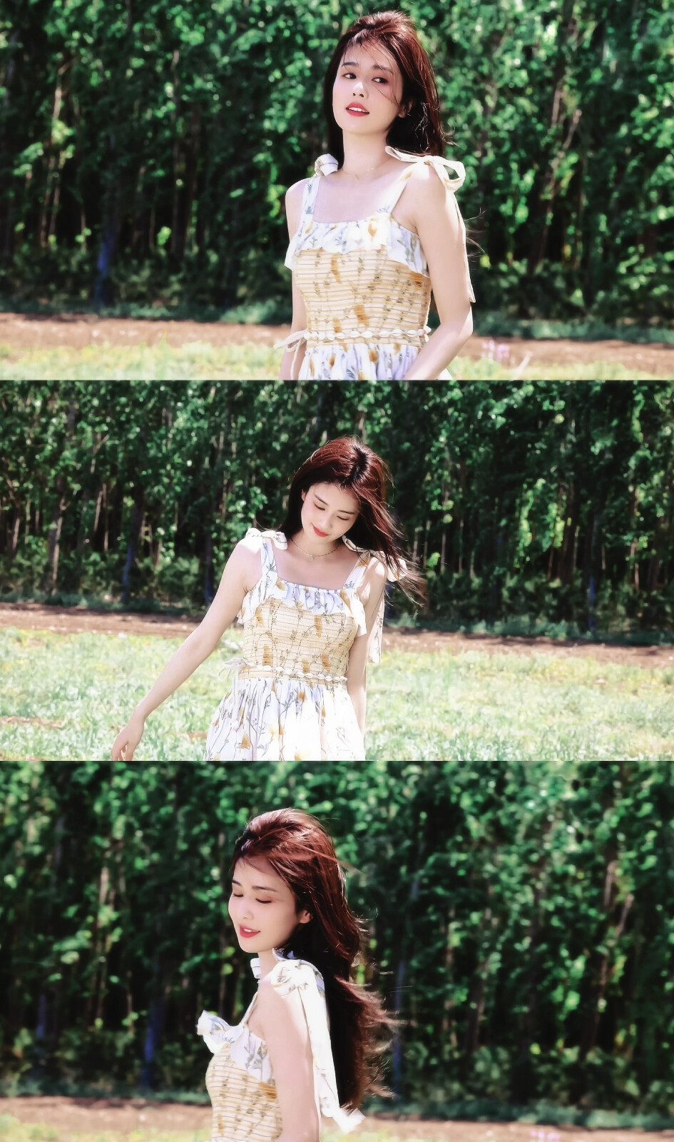 白鹿- 堆糖,美图壁纸兴趣社区