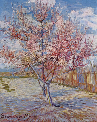 梵·高《盛开的桃花》（The Pink Peach Tree），81×60cm，1888年，荷兰阿姆斯特丹梵高美术馆藏