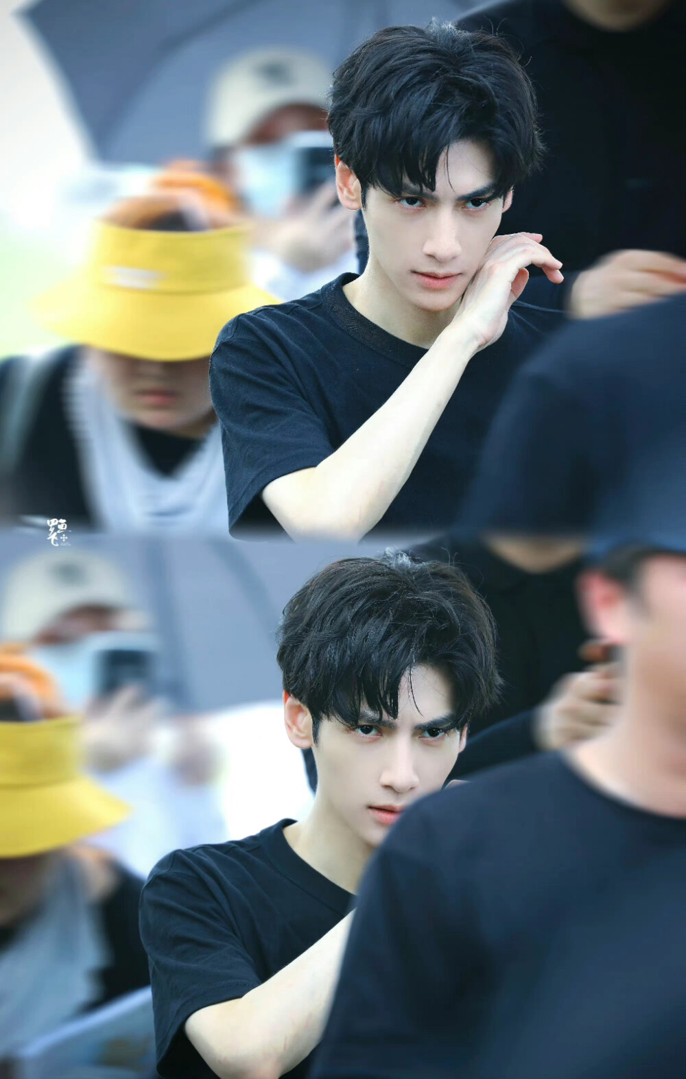 《追光者》【罗本】罗云熙