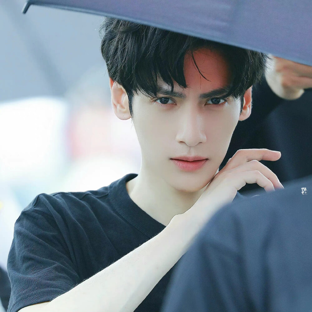 《追光者》【罗本】罗云熙