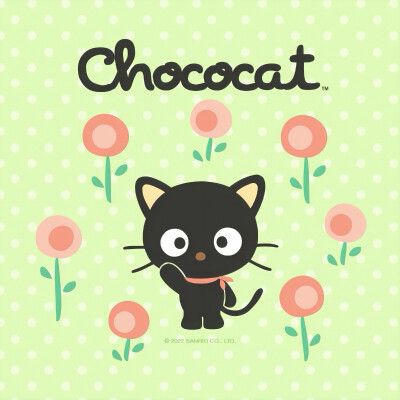 『 三丽鸥 』chococat▪头像