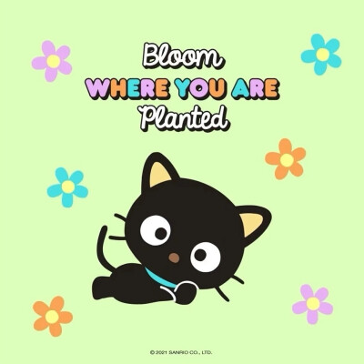 『 三丽鸥 』chococat▪头像