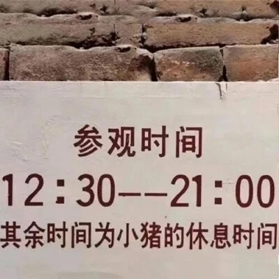 朋友圈背景图