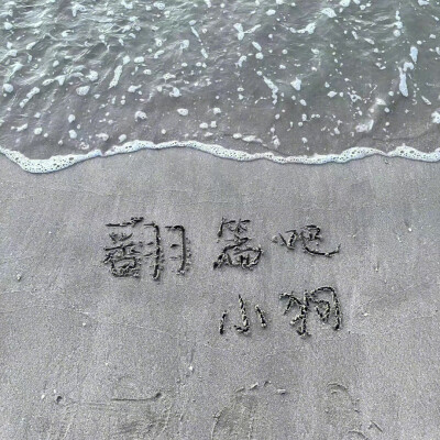 背景图
图源网络 侵权删