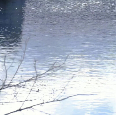 背景图
图源网络 侵权删