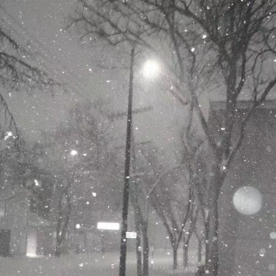 背景图
图源网络 侵权删