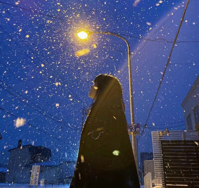 冬日_蓝白_雪❄️