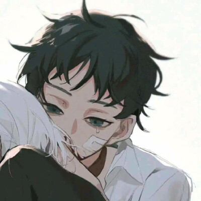 一些很满意的情头20