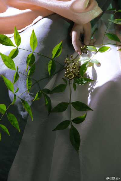 #生而如诗#
植物拟人 ｜｜南天竹
“若你曾见我羽叶覆枝头。”
出镜@一枝陶然
摄影/@扶卮-
妆造@空山常在
汉服@不知寒工作室
#汉服摄影##苏州约拍##上海约拍##国风# ​​​