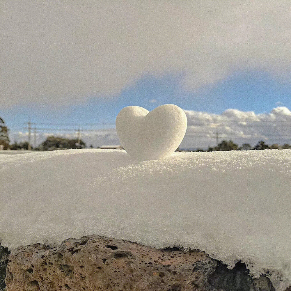 大约在冬季❄️
#朋友圈背景图# ​​​