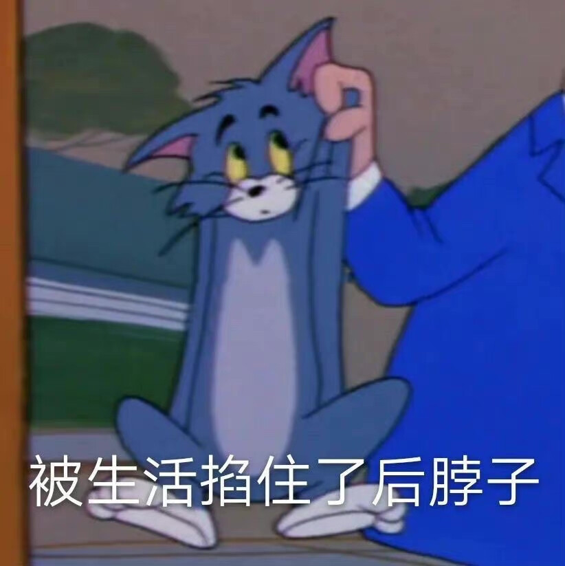 汤姆