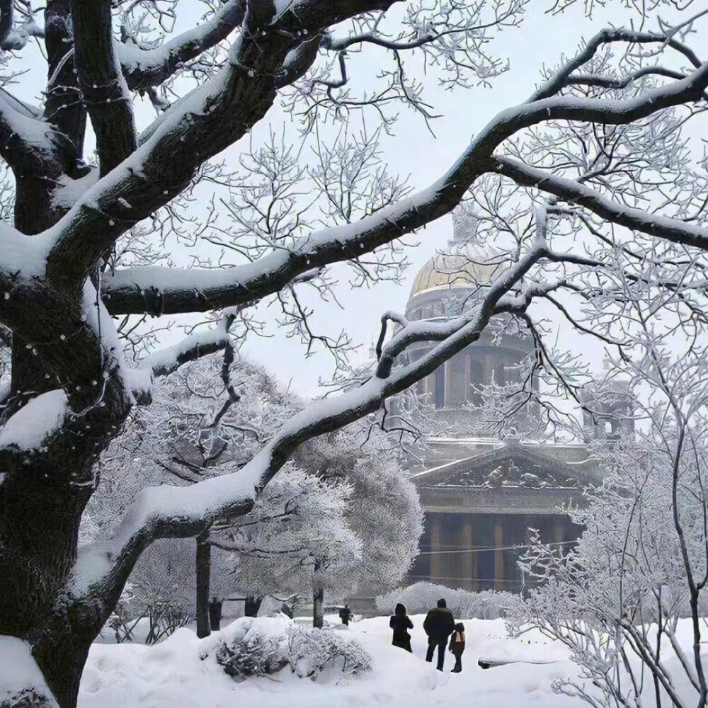 雪地背景图