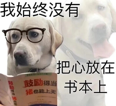 发疯表情包