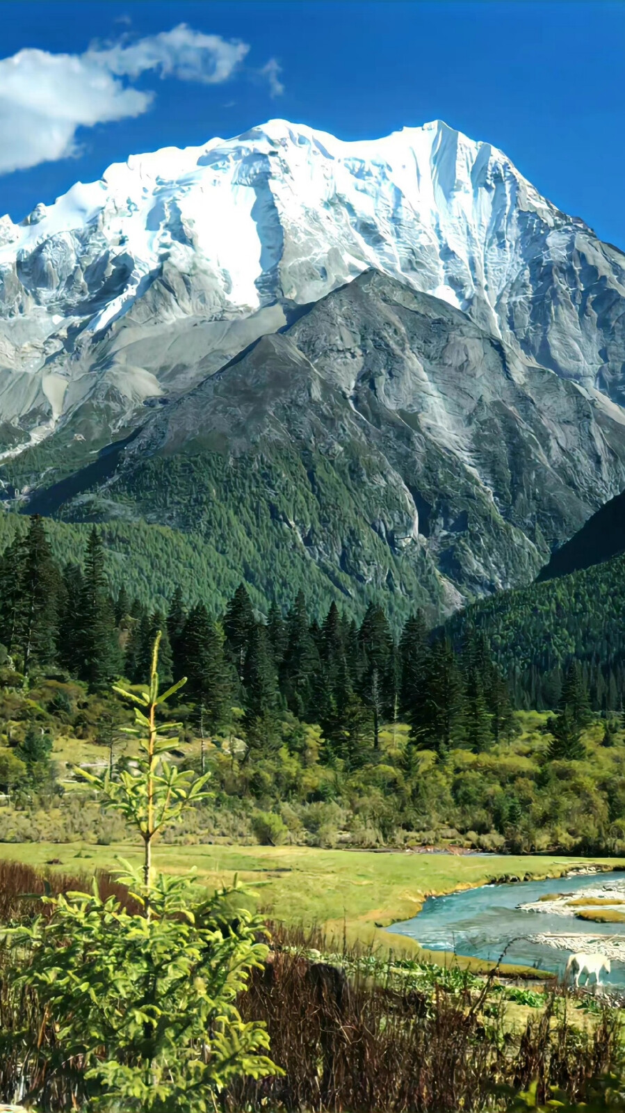 風景 壁紙