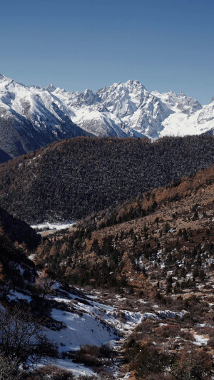 风景 壁纸