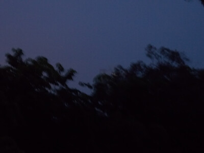 一些原创 拿图评论点赞