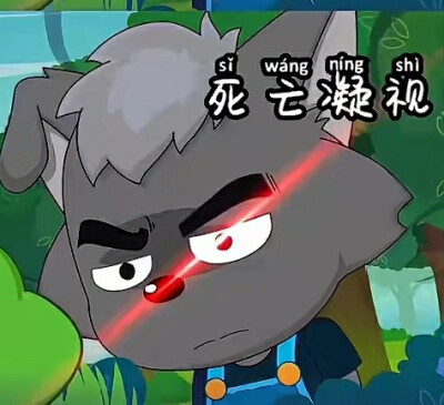 小灰灰
