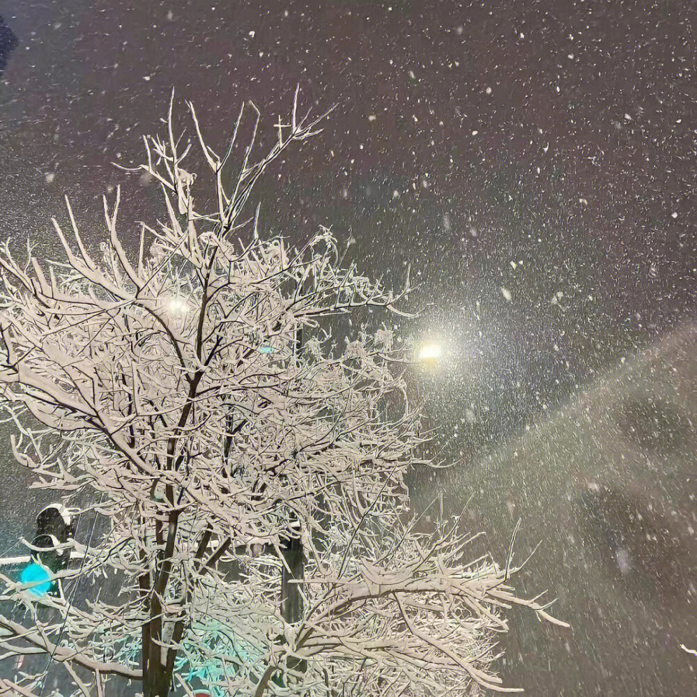 冬天氛围感背景图❄️