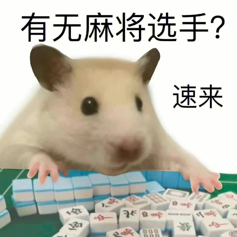 表情包