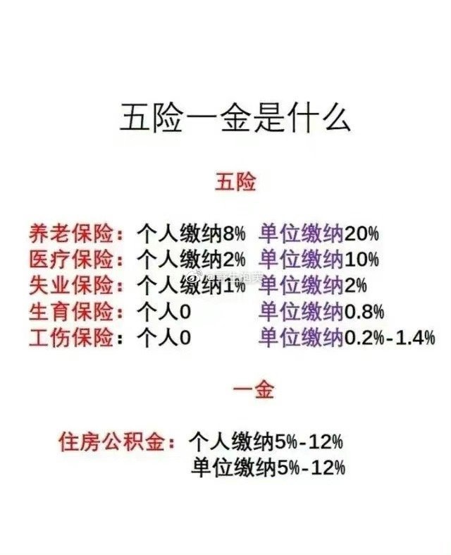 第一次遇到把“五险一金”讲得如此通俗易懂的文字！