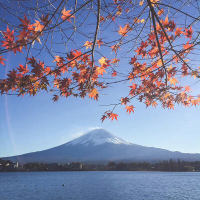 背景