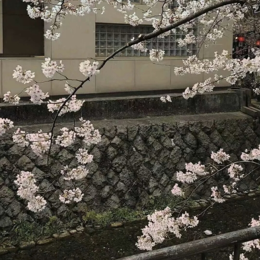 想淋雨就别走