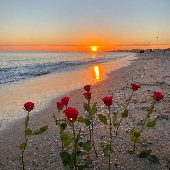 花海背景