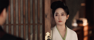 梦华录