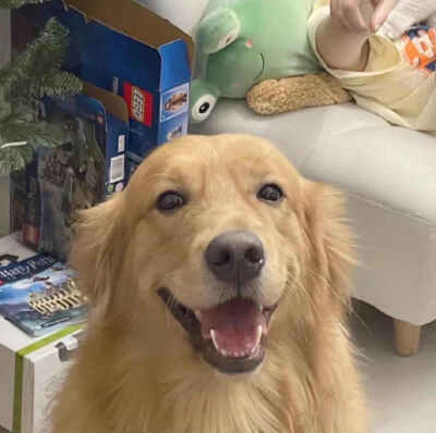 情头 自己找了用的侵权删