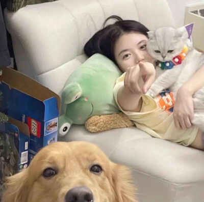 情头 自己找了用的侵权删