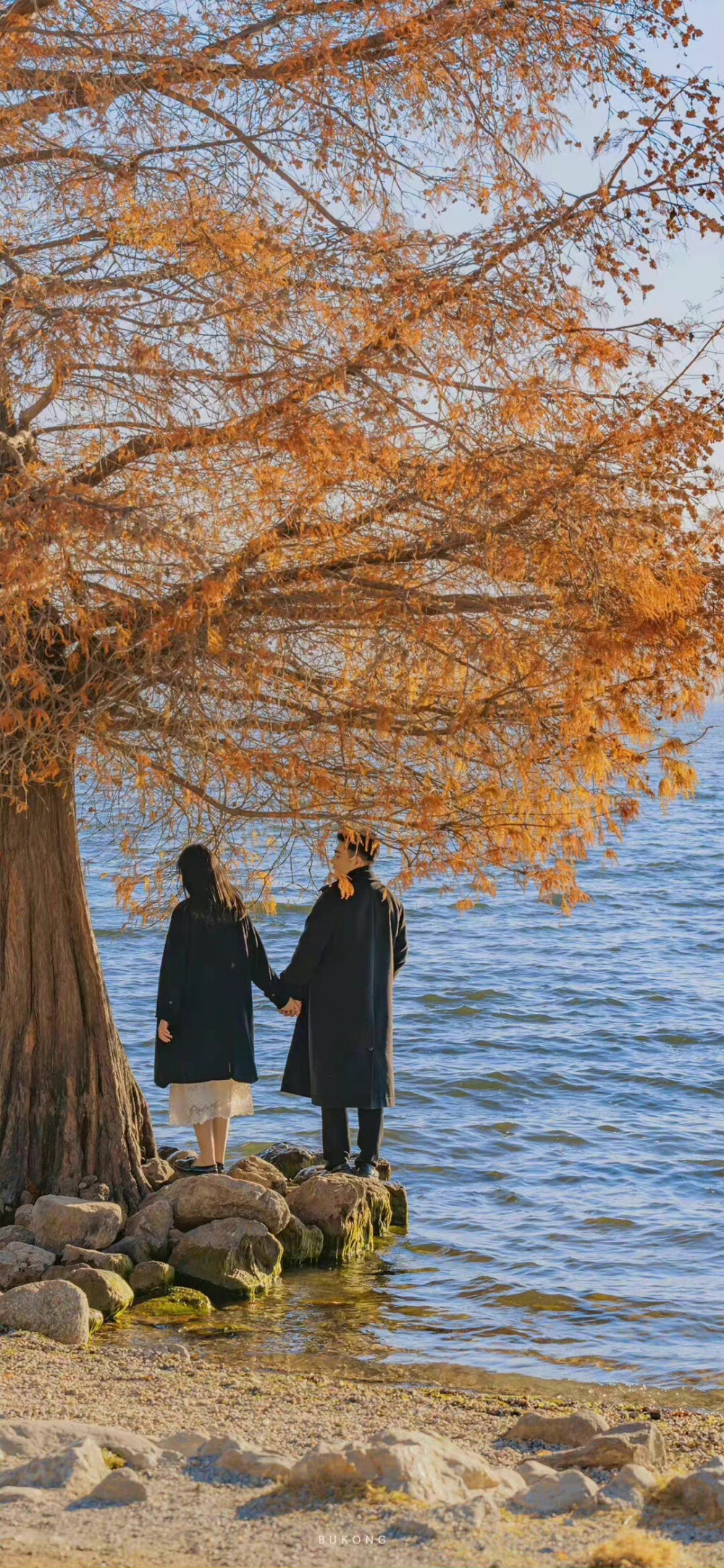 星空迷上了山野，有雾有灯也有归人。