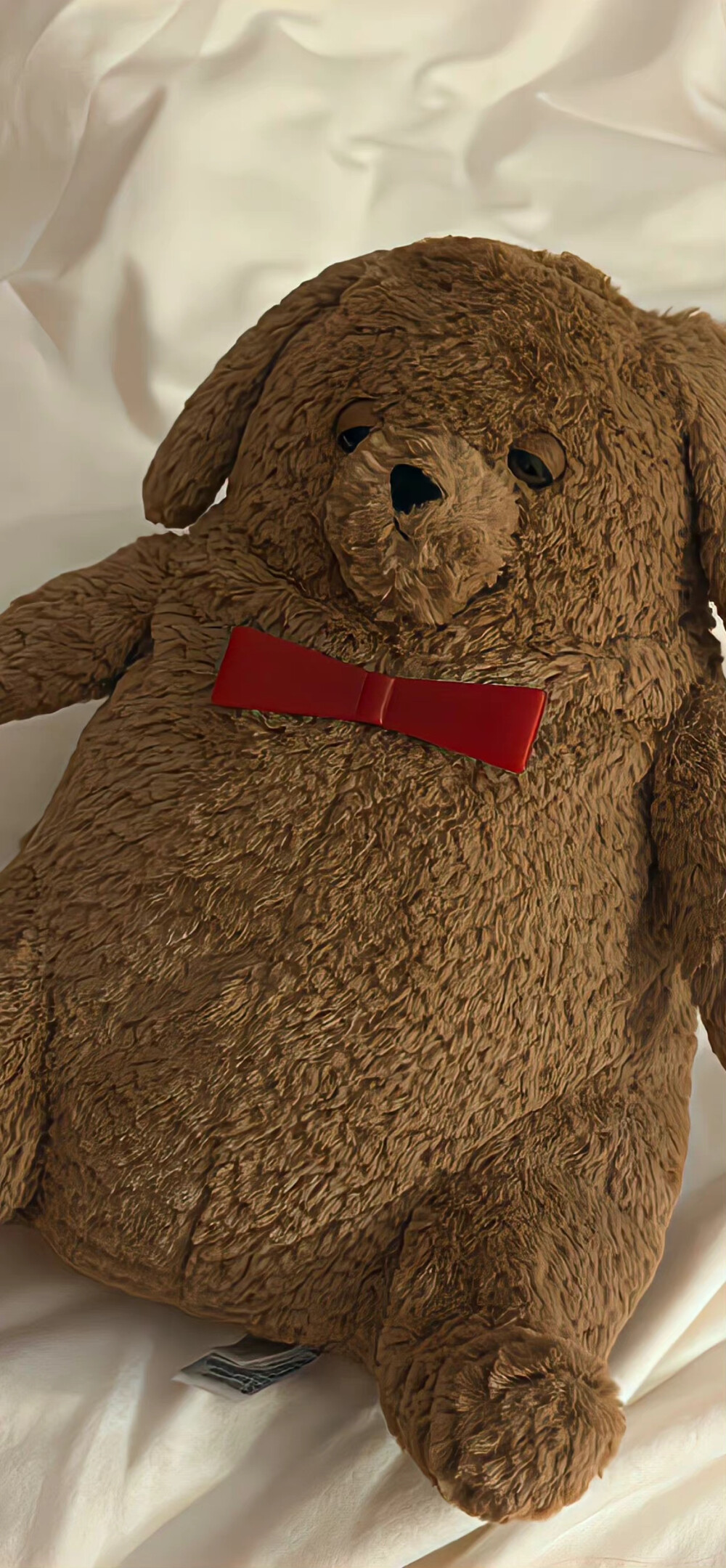 棕色 秋天 暖色 壁纸