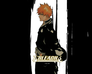 bleach