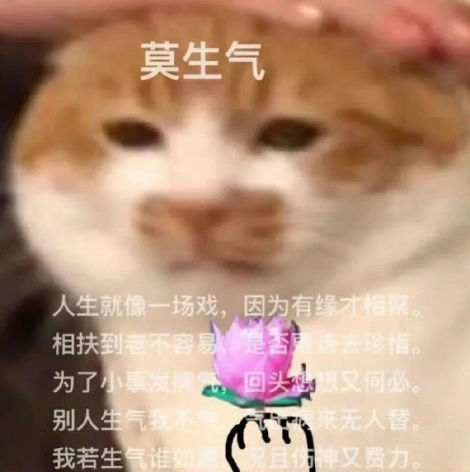 太可爱就是麻烦