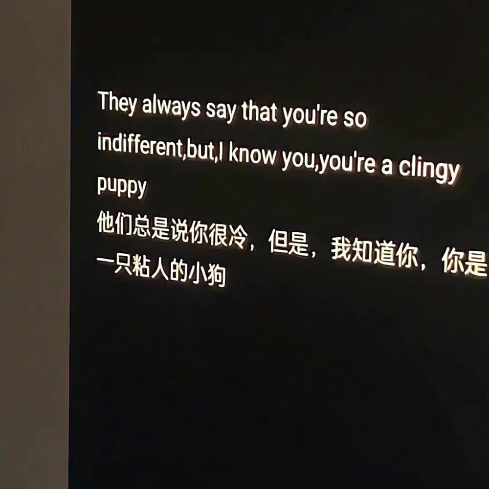 如果觉得抱歉的话 就请吃饭吧