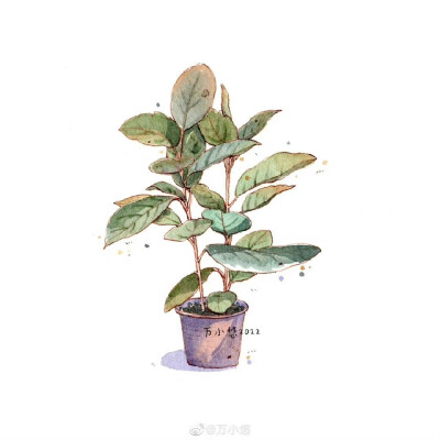 一组绿植盆栽
作者：@万小悠
