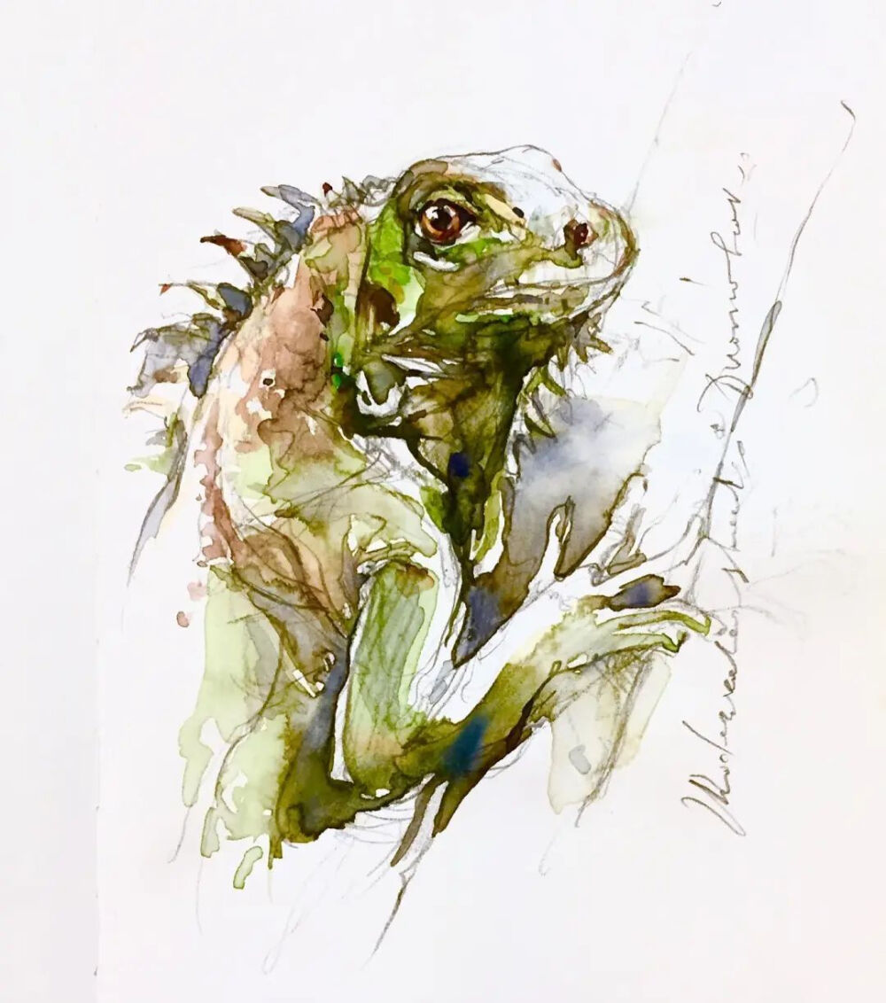 水彩|水彩动物 寥寥几笔勾勒出动物的形体 Konstantin Dvornikov

