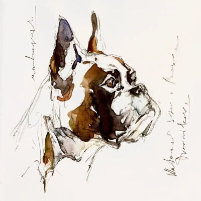 水彩|水彩动物 寥寥几笔勾勒出动物的形体 Konstantin Dvornikov
