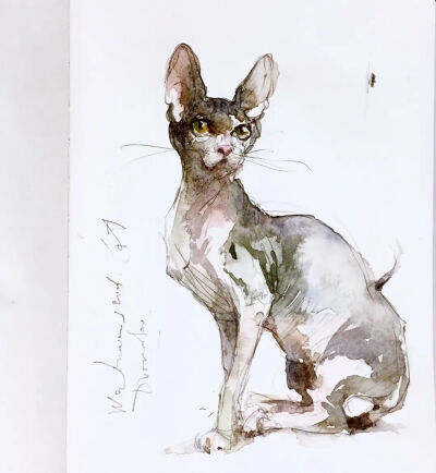 水彩|水彩动物 寥寥几笔勾勒出动物的形体 Konstantin Dvornikov
