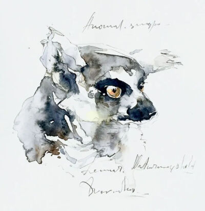 水彩|水彩动物 寥寥几笔勾勒出动物的形体 Konstantin Dvornikov
