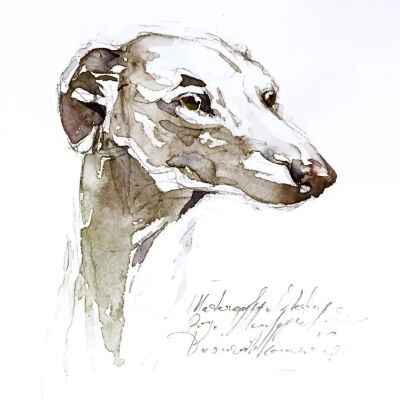 水彩|水彩动物 寥寥几笔勾勒出动物的形体 Konstantin Dvornikov
