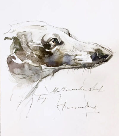 水彩|水彩动物 寥寥几笔勾勒出动物的形体 Konstantin Dvornikov
