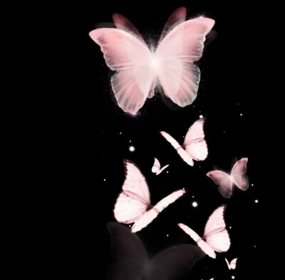  粉色蝴蝶The pink butterfly finally fell.