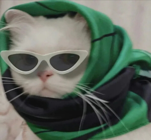 头像 猫咪
